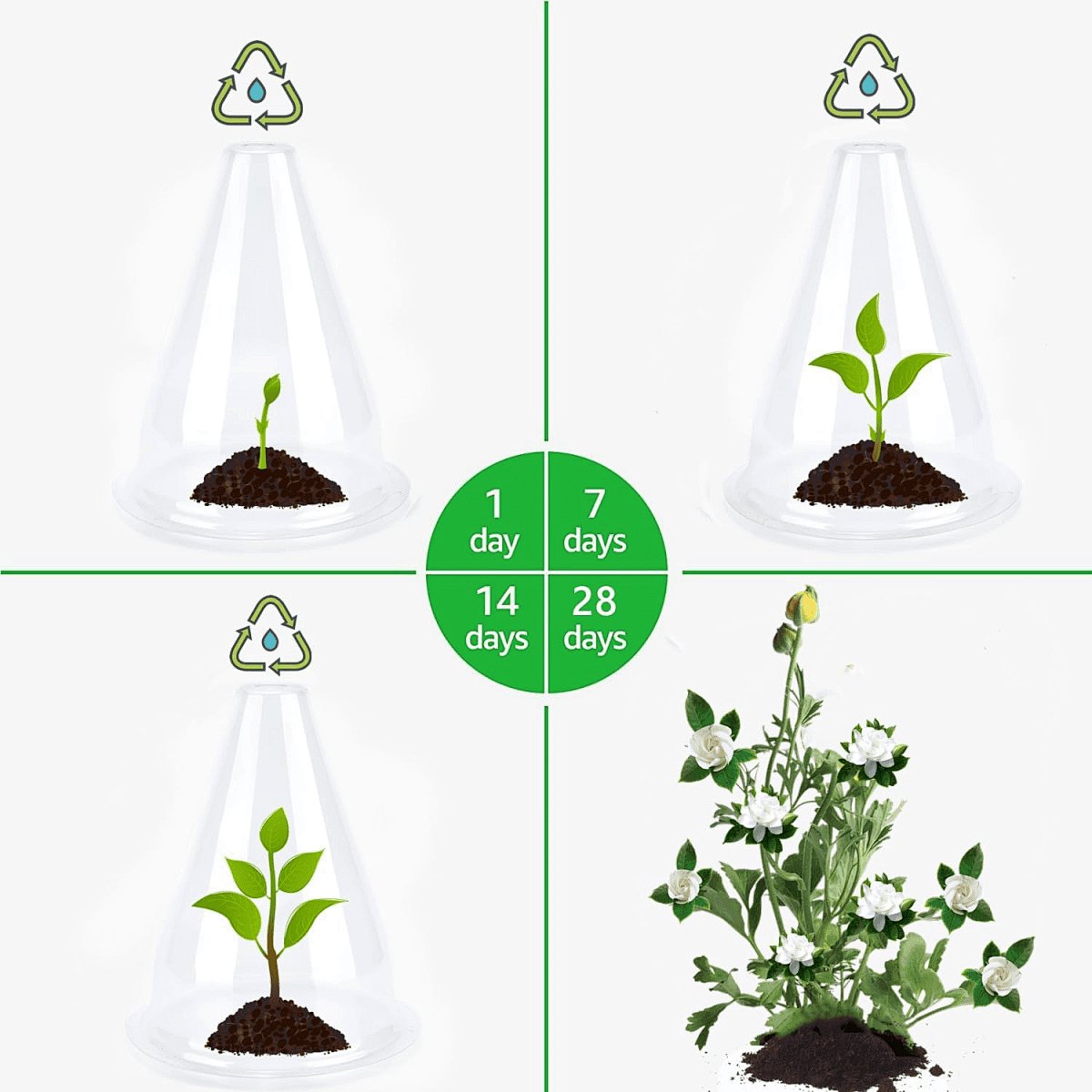 Grove Plant Cover | Reusable, Breathable Protection for Young Plants 8