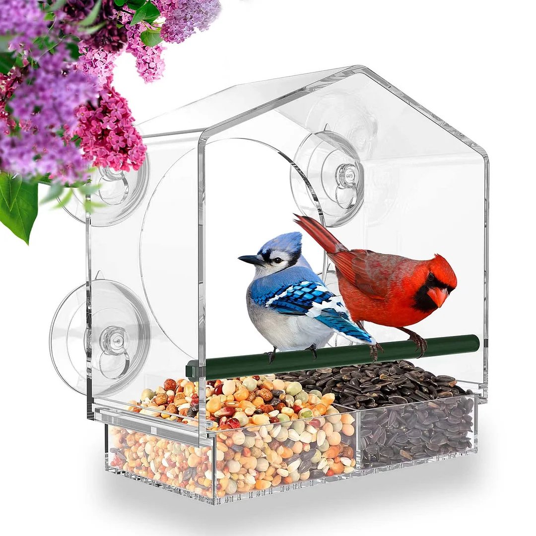 Breezy Bird Feeder | Window-Mounted, Clear Acrylic 0
