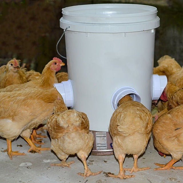 Clever Chicken Feeder | Weatherproof, Adjustable Poultry Feeder 1