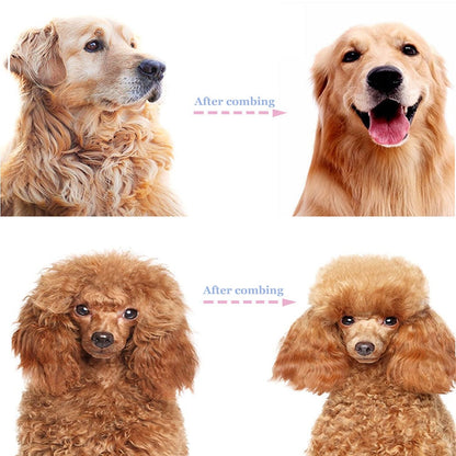 Dapper Dog Brush | 2-in-1 Deshedding and Undercoat Rake for Medium to Large Dogs 8
