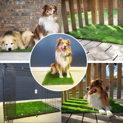 Dapper Dog Turf | Indoor Potty Solution, Easy Clean Grass Pee Pads 1