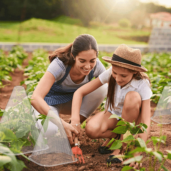 Grove Plant Cover | Reusable, Breathable Protection for Young Plants 1