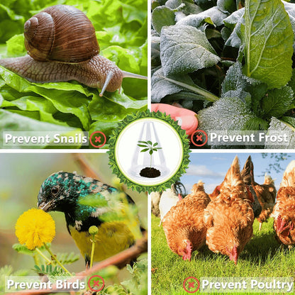 Grove Plant Cover | Reusable, Breathable Protection for Young Plants 5