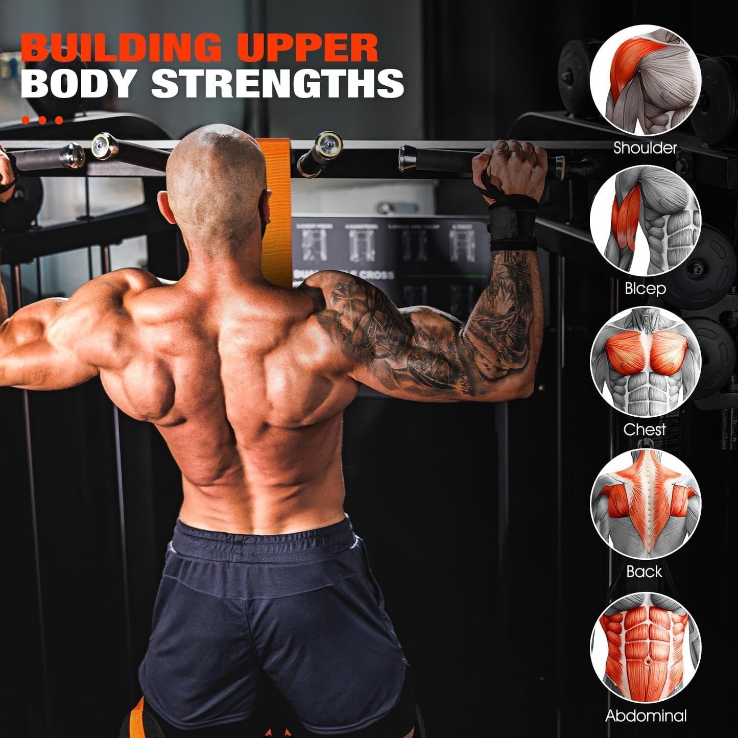 Hercules Pull Up Assist Band | Heavy-Duty, Dual-Foot Design for Assisted Pull Ups 1