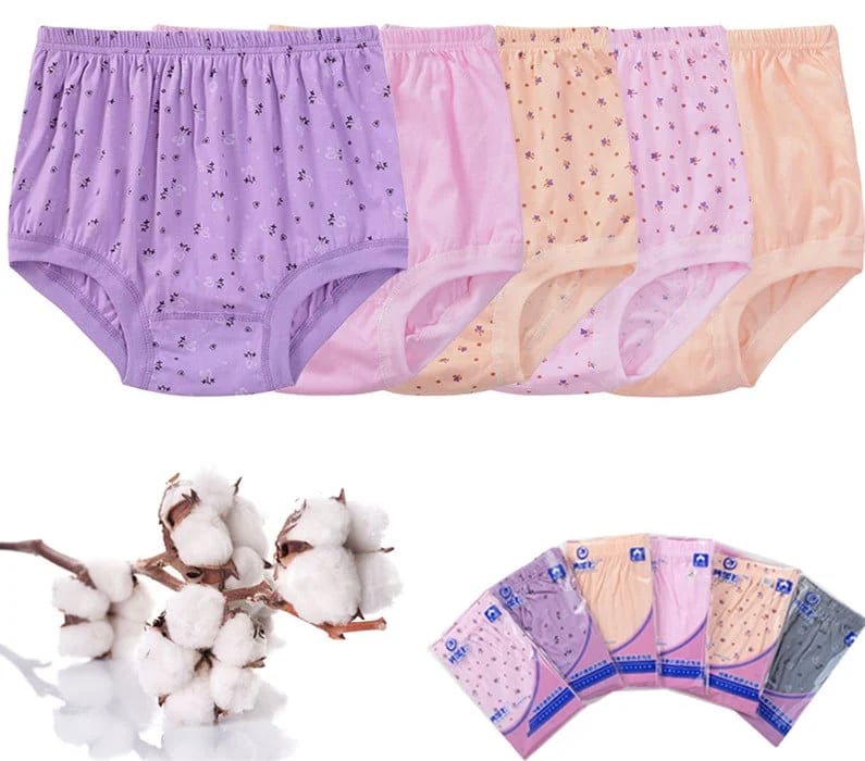 Luxe Cotton Briefs | Plus Size, High-Waisted 1