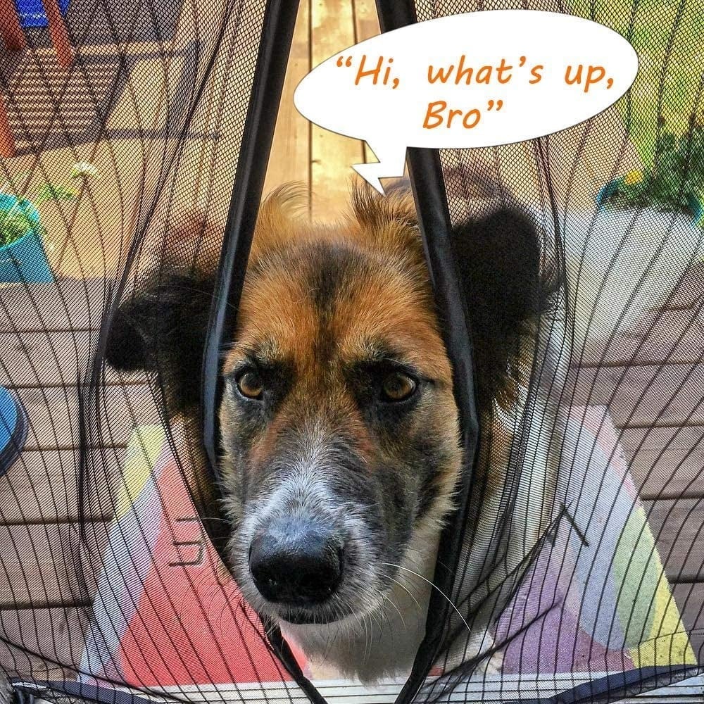 Magma Magnetic Screen Door | Hands-Free, Durable Mesh, Insect-Blocking 6