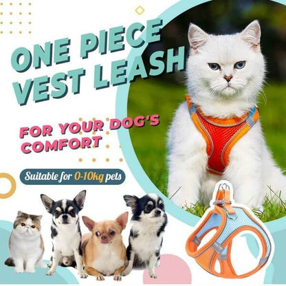 Pawfect Vest Leash | Lightweight, Breathable Design 1