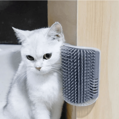 PurGroom Cat Brush | Self-Grooming, Stress Relief for Shedding 1