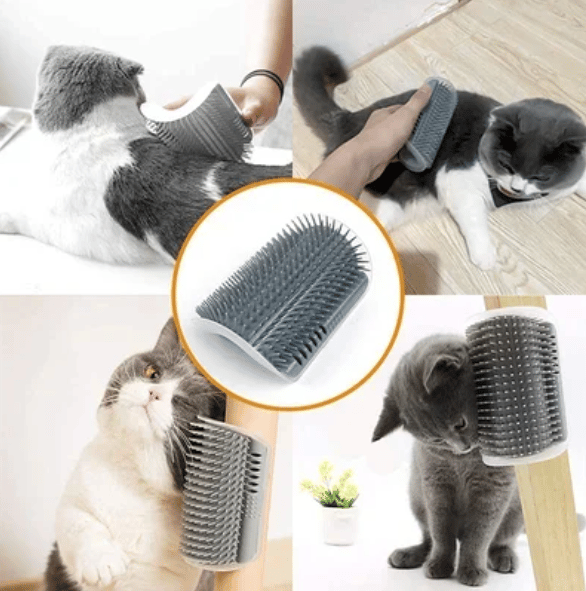 PurGroom Cat Brush | Self-Grooming, Stress Relief for Shedding 3