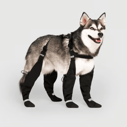 Sable Dog Boots | Water-Resistant, Adjustable Fit for Winter 0