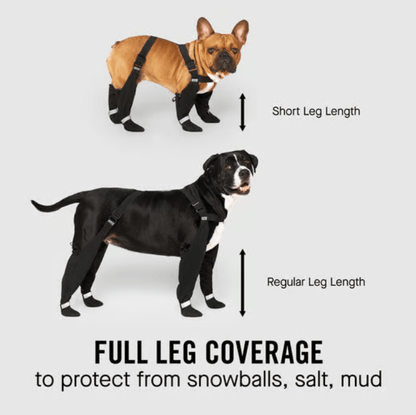 Sable Dog Boots | Water-Resistant, Adjustable Fit for Winter 1