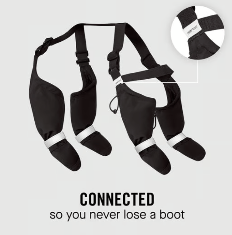 Sable Dog Boots | Water-Resistant, Adjustable Fit for Winter 3
