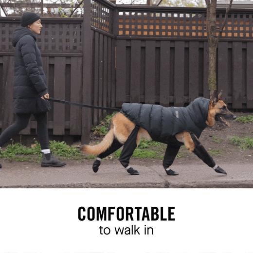 Sable Dog Boots | Water-Resistant, Adjustable Fit for Winter 4