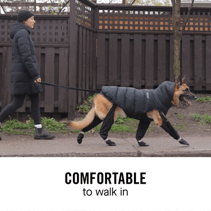 Sable Dog Boots | Water-Resistant, Adjustable Fit for Winter 4