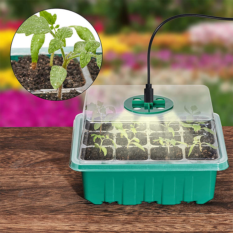 Seda Seed Starter Tray | Grow Light Included 1
