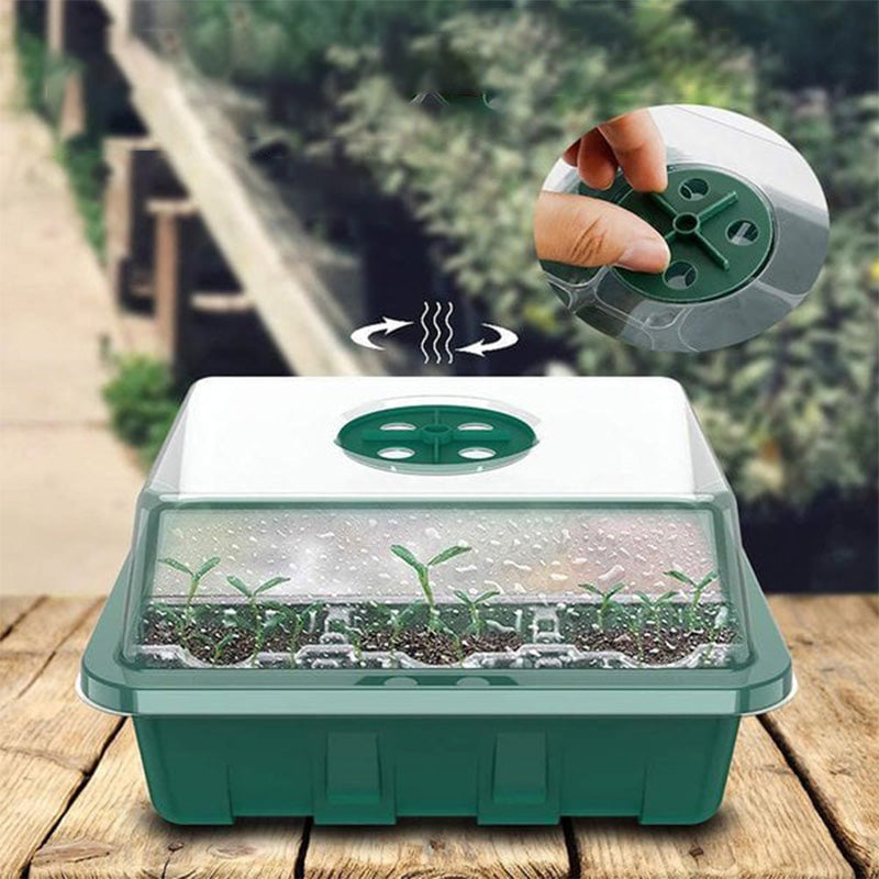 Seda Seed Starter Tray | Grow Light Included 4