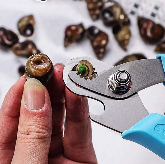 Sleek Snail Cutter | Stainless Steel, Ergonomic Design 0
