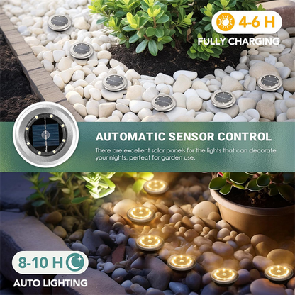 Solar Glow Ground Lights | Waterproof, Energy Efficient 3